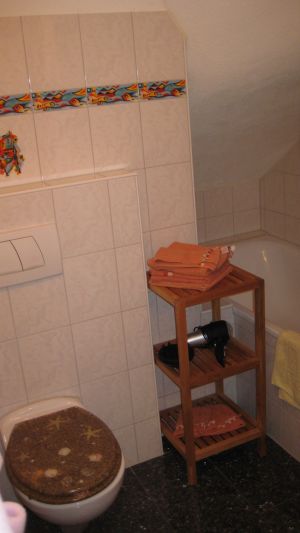 Bild 8: Ferienwohnung Renz Halbinsel Höri Moos-Weiler am Bodensee