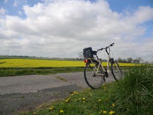 herrliche Landschaft zum Radfahren - Bild 22: Ferienhaus mit Hund, zwischen Büsum u. St. Peter, Sauna, Kamin, WLAN