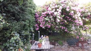 Bild 8: Ferienhaus -Rothaarsteig im Sauerland, dem Land der 1000 Berge