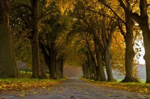 Bild 15: Ferienwohnung "Flintstone" Sassnitz/Rügen/Ostsee