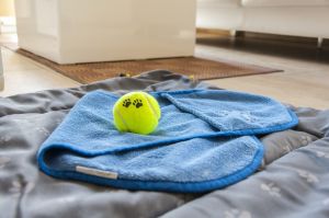 Bild 9: Ferienwohnung "Flintstone" Sassnitz/Rügen/Ostsee