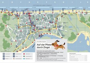 Bild 24: Ostsee Fewo Zingst - 500 m zum Strand