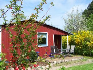 Der abgeschlossene Garten lädt zum Verweilen ein. - Bild 11: Ferienhaus "Anna" auf Rügen zwischen den Ostseebädern Binz und Sellin