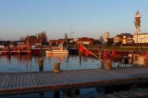 auch der Herbst und der Winter hat seine ganz besonderen Reize, ruhig und beschaulich geht es zu - Bild 7: Steuerbord-Haus strandnaher Hundeurlaub im ruhig gelegenen Ferienhaus