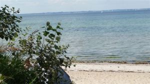 es gibt auch einen ausgewiesenen Hundestrand - Bild 10: Steuerbord-Haus strandnaher Hundeurlaub im ruhig gelegenen Ferienhaus