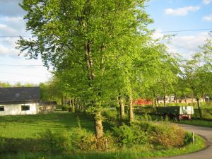 Links ist das Ferienhaus und rechts der Bauernhof des Vermieters. Die Straße wird nur von den Gästen und dem Vermieter befahren. Sackgasse! - Bild 5: Ferienhaus im grünen, ruhig und neben einem Bauernhof