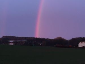 Bild 28: Urlaub auf Deutschlands größter und wohl schönster Insel, Rügen. inkl. WLAN