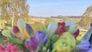 Bild 21: Urlaub auf Deutschlands größter und wohl schönster Insel, Rügen. inkl. WLAN