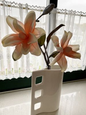 Bild 10: Urlaub auf Deutschlands größter und wohl schönster Insel, Rügen. inkl. WLAN