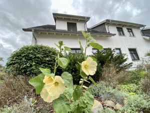 Bild 24: Urlaub auf Deutschlands größter und wohl schönster Insel, Rügen. inkl. WLAN