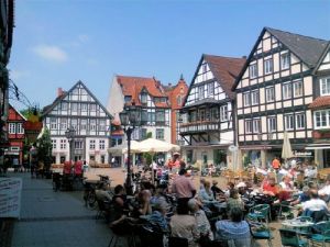 Bild 18: Sonnenhaus Nr. 47a in Weserbergland/Extertal bis 5 Personen, Hund erlaubt