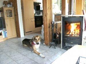 Bild 12: Sonnenhaus Nr. 47a in Weserbergland/Extertal bis 5 Personen, Hund erlaubt