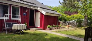 Bild 8: Waldhaus in Weserbergland/Extertal bis 5 Personen-mit Sauna. Hund erlaubt