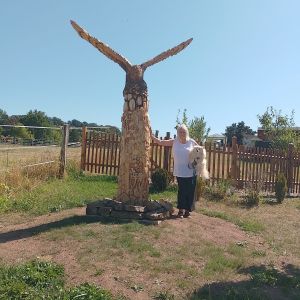 Bild 25: Waldhaus in Weserbergland/Extertal bis 5 Personen-mit Sauna. Hund erlaubt
