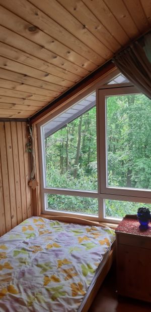 Bild 12: Waldhaus in Weserbergland/Extertal bis 5 Personen-mit Sauna. Hund erlaubt