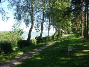 Bild 13: Ferienhaus Stahlbrode Nr. 142, ca. 150m zum Wasser, Zaun, Hunde willkommen