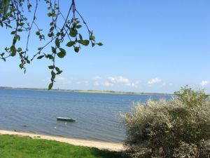 Bild 12: Ferienhaus Stahlbrode Nr. 142, ca. 150m zum Wasser, Zaun, Hunde willkommen