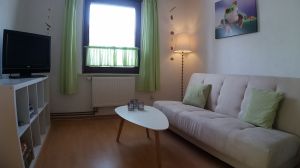 Bild 4: Ferienhaus Stahlbrode Nr. 142, ca. 150m zum Wasser, Zaun, Hunde willkommen