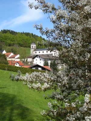 Bild 6: Ferienwohnung im Bayerischen Wald / Gästehaus Treml