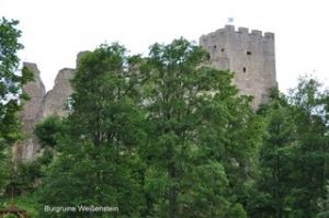 Bild 8: Ferienwohnung im Bayerischen Wald / Gästehaus Treml