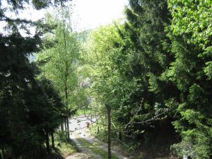 Bild 13: Ferienwohnung EifelNatur 3 - gemütliche Dachgeschosswohnung mit Balkon