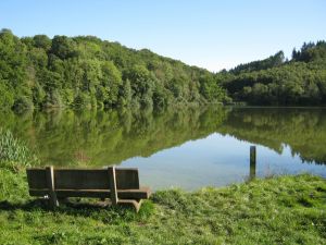 Spaziergang zum Maar - Bild 15: Ferienwohnung EifelNatur 3 - gemütliche Dachgeschosswohnung mit Balkon