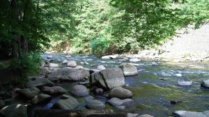 Bild 16: Ferienwohnung BAUER Thale / Harz