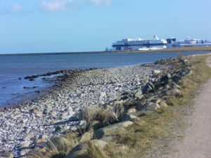 mit Boardershop - Bild 36: Ferienhaus Windrose Fehmarn OT Puttgarden