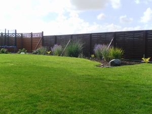 Bild 31: Ferienhaus Windrose Fehmarn OT Puttgarden