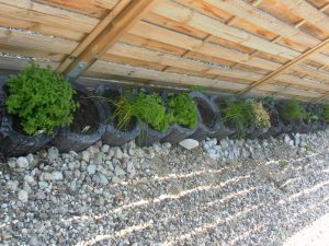 Dieser darf sehr gerne genutzt werden - Bild 23: Ferienhaus Windrose Fehmarn OT Puttgarden