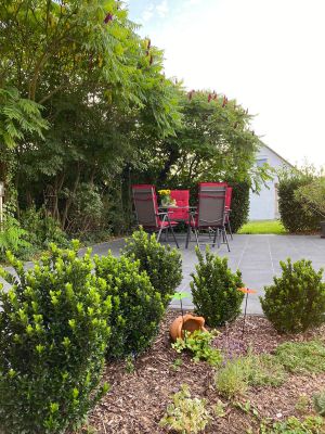 im Frühjahr 2021 neu angelegte Terrasse - Bild 21: Tolles vier Sterne und vier Pfoten Ferienhaus im Hunsrück, Hunde willkommen
