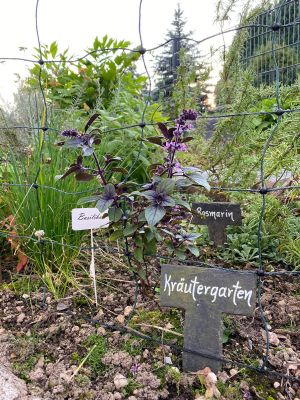 Bild 24: Tolles vier Sterne und vier Pfoten Ferienhaus im Hunsrück, Hunde willkommen