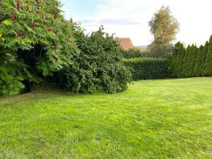 Unser Garten ist komplett eingezäunt - Bild 22: Tolles vier Sterne und vier Pfoten Ferienhaus im Hunsrück, Hunde willkommen
