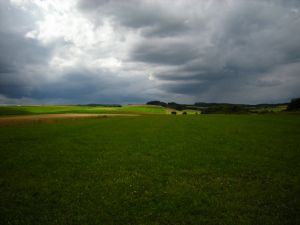 Bild 19: Idyll. Ferienhaus EifelNest & uneinsehb. Sonnenterrasse mit Fernblick