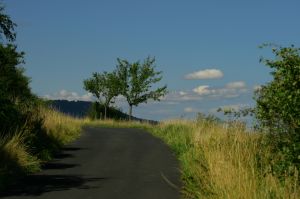 Bild 20: Idyll. Ferienhaus EifelNest & uneinsehb. Sonnenterrasse mit Fernblick