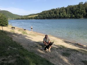 Schöner HUNDESTRAND ( ca. 20km )am Diemelsee. Natur pur. - Bild 17: FEWO am FLuss m. Bergblick & Balkon & Wiese, W-LAN, 2 Bäder, 2 Hunde gratis