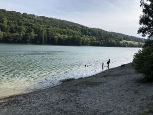 Der Diemelsee ist neben dem Möhnesee & dem Hennesee einer der schönsten Seen im NATURPARK. - Bild 18: FEWO am FLuss m. Bergblick & Balkon & Wiese, W-LAN, 2 Bäder, 2 Hunde gratis