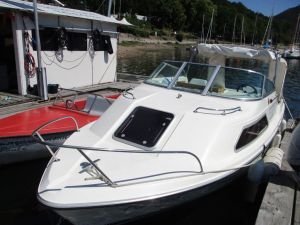 Sie können sich Elektro - oder Ruderboote hier ausleihen. - Bild 20: FEWO am FLuss m. Bergblick & Balkon & Wiese, W-LAN, 2 Bäder, 2 Hunde gratis