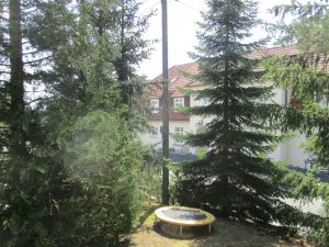 Schön gelegen mitten in der NATUR.
Hier können Sie ausspannen & und in Ruhe den Abend verbringen. - Bild 16: FEWO am FLuss m. Bergblick & Balkon & Wiese, W-LAN, 2 Bäder, 2 Hunde gratis