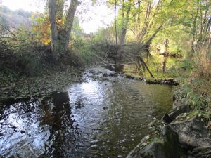 Die Orke mündet nach 27 km in den Edersee. - Bild 4: FEWO am FLuss m. Bergblick & Balkon & Wiese, W-LAN, 2 Bäder, 2 Hunde gratis