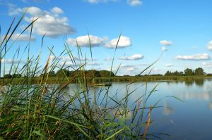 Bild 25: Urlaub im Ferienhaus Joshy an der Nordsee