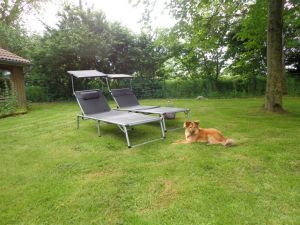 Bild 3: Urlaub im Ferienhaus Joshy an der Nordsee