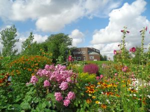 Bild 19: Urlaub im Ferienhaus Joshy an der Nordsee
