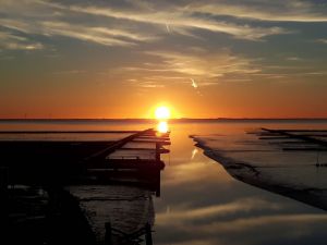 Bild 26: Urlaub im Ferienhaus Joshy an der Nordsee