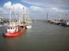 Nordsee Ferienhaus Dornumersiel strandnah - Hund willkommen - WLAN