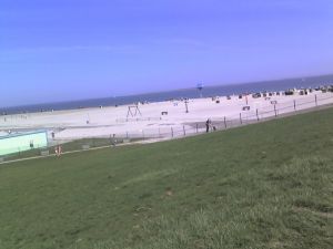 Bild 18: Nordsee Ferienhaus Dornumersiel strandnah - Hund willkommen - WLAN