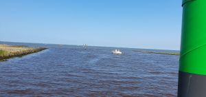 Bild 15: Nordsee Ferienhaus Dornumersiel strandnah - Hund willkommen - WLAN