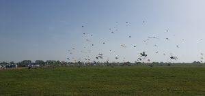 Bild 21: Nordsee Ferienhaus Dornumersiel strandnah - Hund willkommen - WLAN