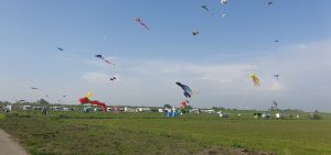 Bild 22: Nordsee Ferienhaus Dornumersiel strandnah - Hund willkommen - WLAN