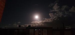 Bild 20: Nordsee Ferienhaus Dornumersiel strandnah - Hund willkommen - WLAN